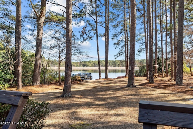 view of yard featuring a water view