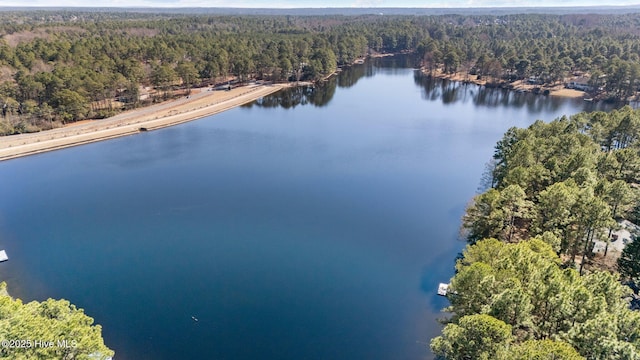 drone / aerial view featuring a water view and a view of trees