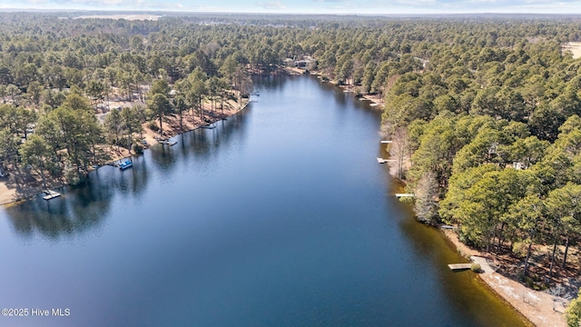 bird's eye view with a water view and a wooded view