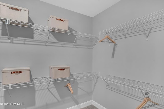 view of spacious closet