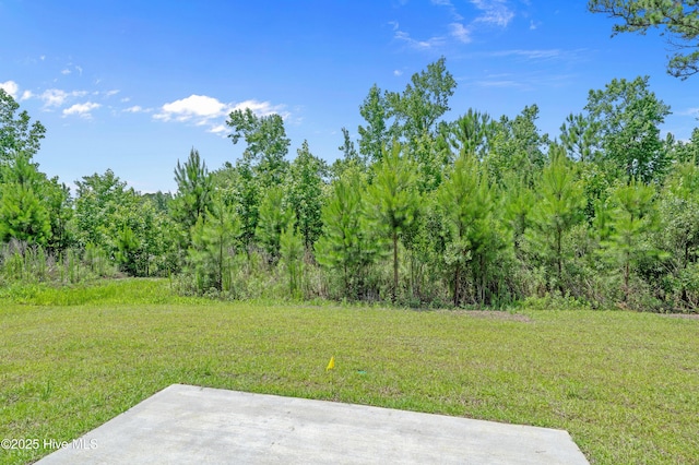 6986 Seaside Palms Pl SW, Sunset Beach, NC 28468 - view of grassy yard with a patio