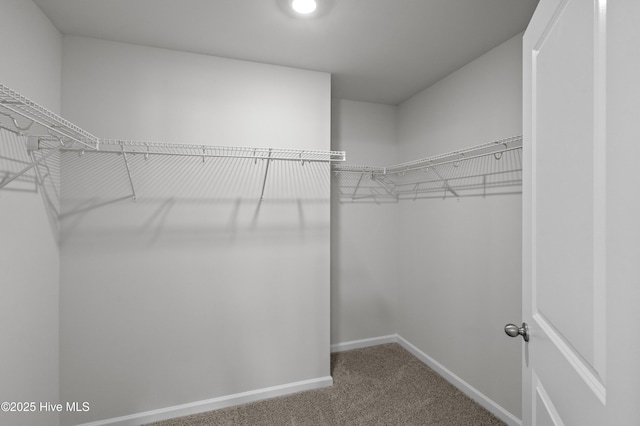 6986 Seaside Palms Pl SW, Sunset Beach, NC 28468 - walk in closet featuring carpet
