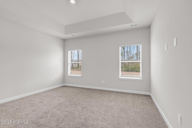 carpeted empty room featuring a raised ceiling and a wealth of natural light