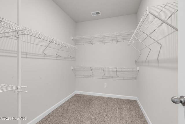 walk in closet featuring carpet floors