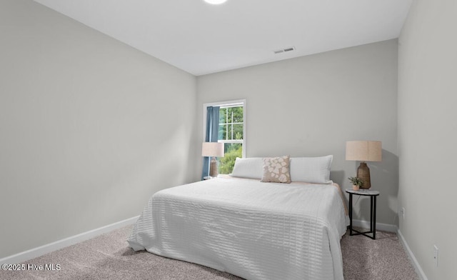 311 Mckenzie Pl, Sneads Ferry, NC 28460 - carpeted bedroom with baseboards