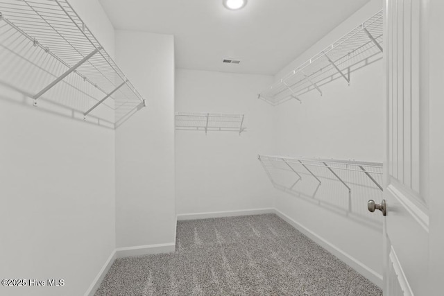 spacious closet featuring carpet flooring and visible vents