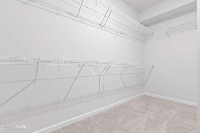 1204 Calabash Station Blvd NW, Calabash, NC 28467 - walk in closet featuring carpet floors
