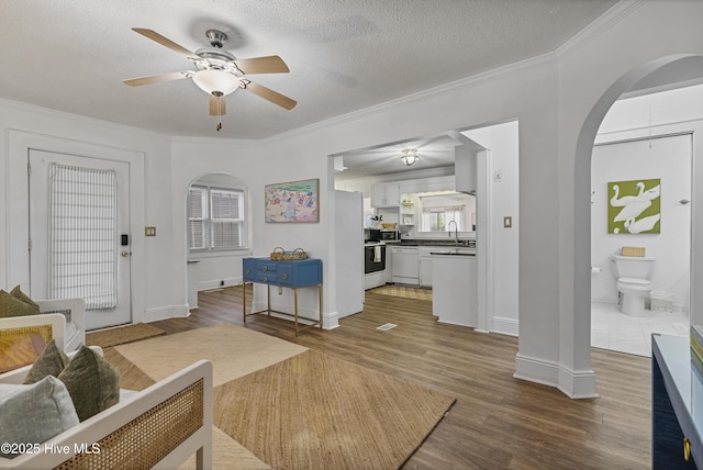 3401 Taylor St, Morehead City, NC 28557 - living room featuring sink, crown molding, ceiling fan, a textured ceiling, and dark hardwood / wood-style flooring