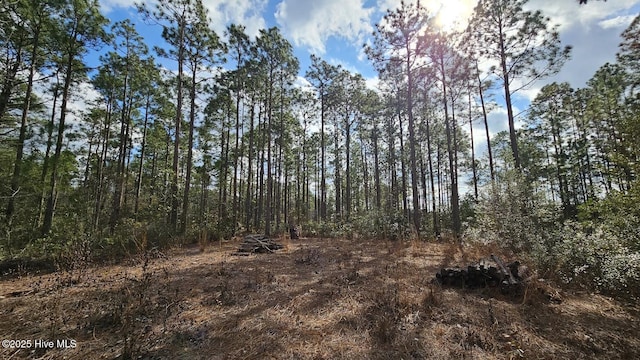 L-3 Old Oak Rd NW Unit L-3, Ash NC, 28420 land for sale