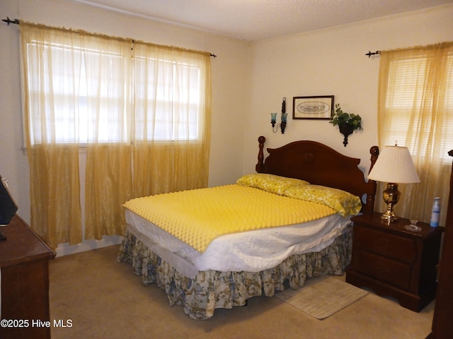 bedroom featuring carpet flooring