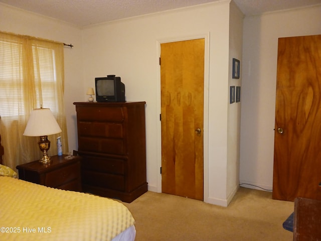 bedroom with crown molding and light colored carpet