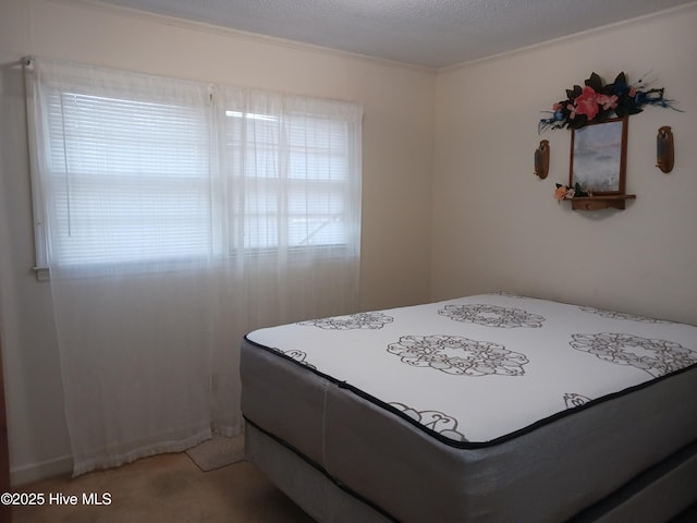 bedroom with crown molding