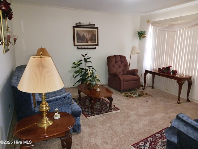 living room with carpet flooring