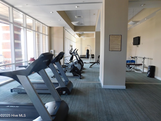 exercise room with expansive windows and carpet