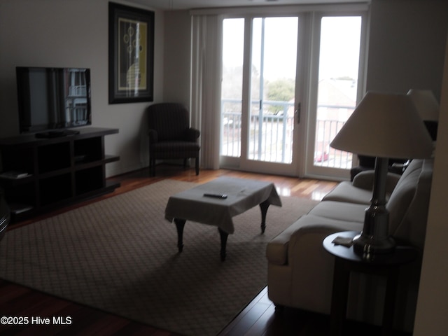 living room with hardwood / wood-style flooring