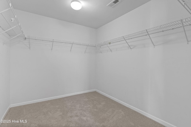 spacious closet with carpet and visible vents