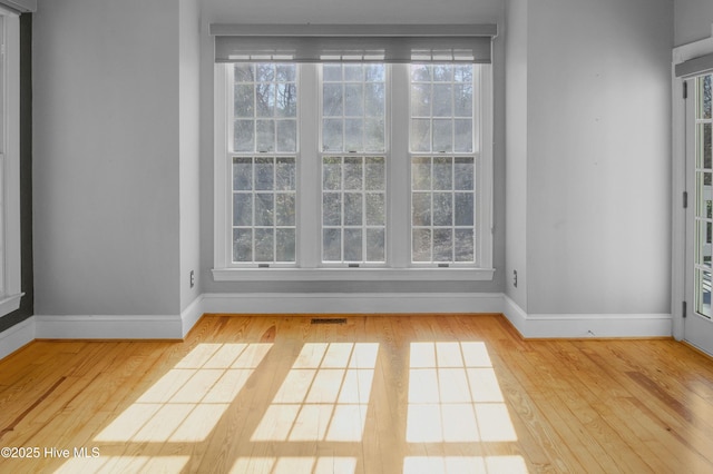 spare room with light hardwood / wood-style flooring and a wealth of natural light