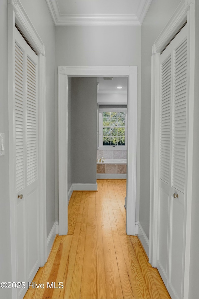 hallway with crown molding and light hardwood / wood-style floors