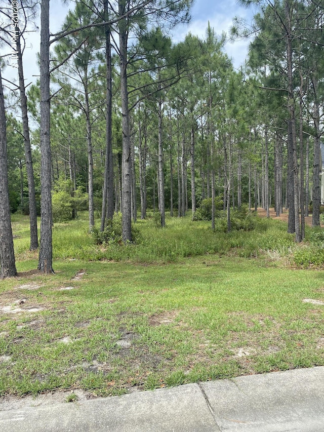 593 Barbosa Pl SE Unit 116, Bolivia NC, 28422 land for sale