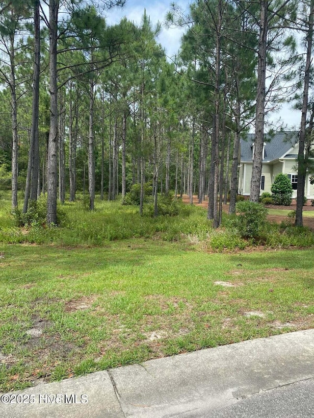 Listing photo 3 for 593 Barbosa Pl SE Unit 116, Bolivia NC 28422