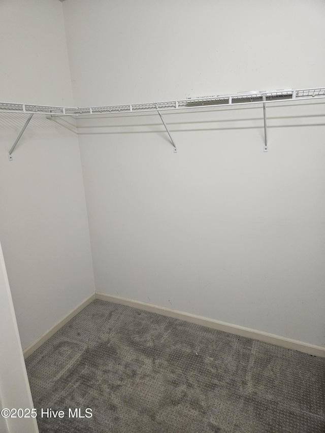 walk in closet with carpet flooring