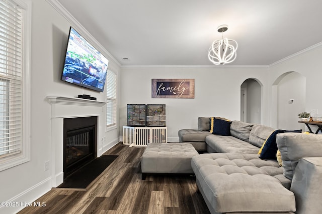 living room with dark hardwood / wood-style flooring, crown molding, and a chandelier