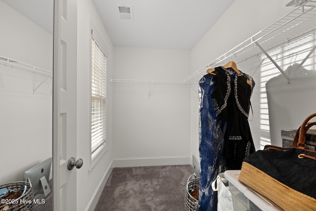 spacious closet featuring carpet floors