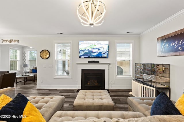 living room with crown molding, a notable chandelier, dark hardwood / wood-style floors, and a wealth of natural light