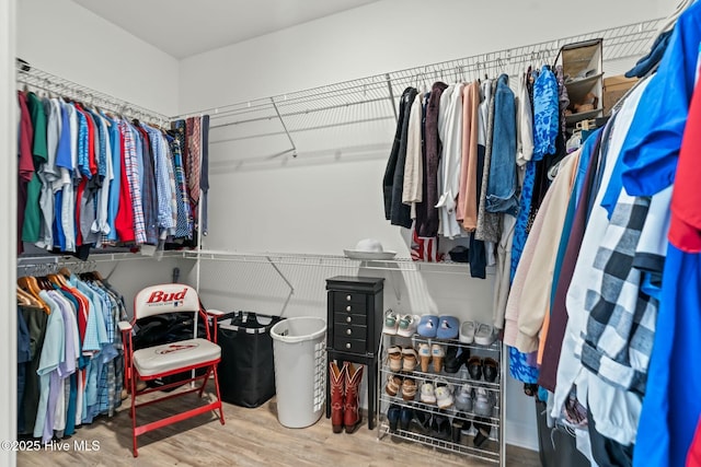 spacious closet with wood finished floors