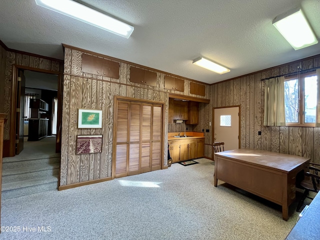 interior space featuring ornamental molding, carpet, and a textured ceiling