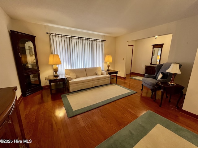 living room with dark hardwood / wood-style floors