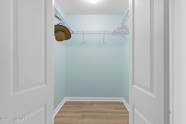 spacious closet with wood-type flooring