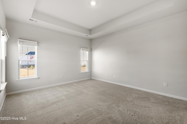 carpeted empty room with a wealth of natural light, visible vents, and a raised ceiling