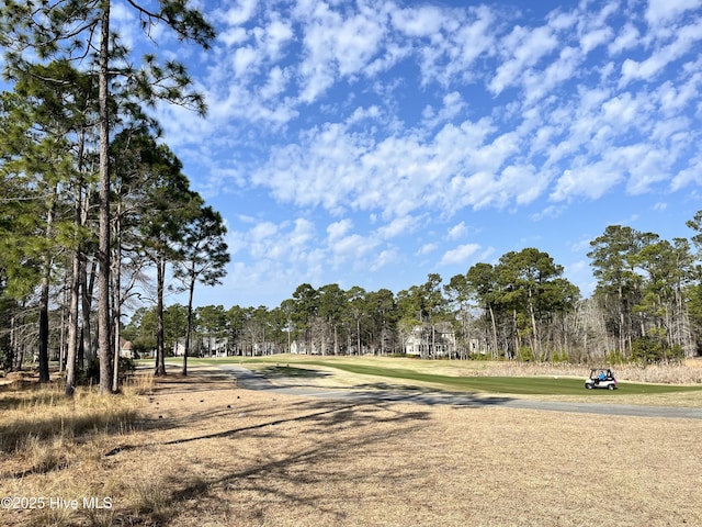 433 Laurel Valley Dr Unit 45, Shallotte NC, 28459 land for sale