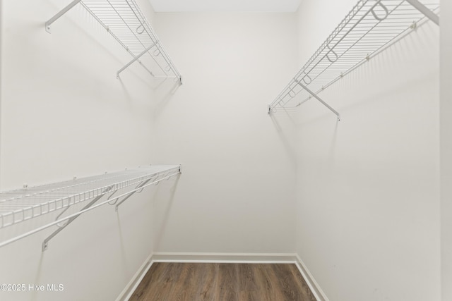 walk in closet with dark wood-type flooring