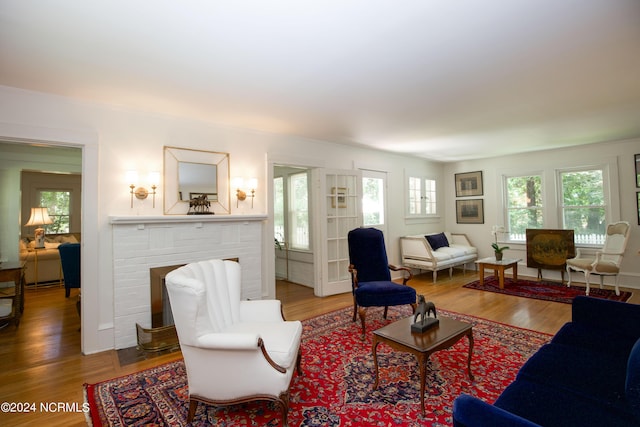 living room featuring a fireplace and wood-type flooring