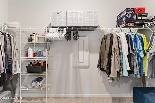 walk in closet featuring carpet floors