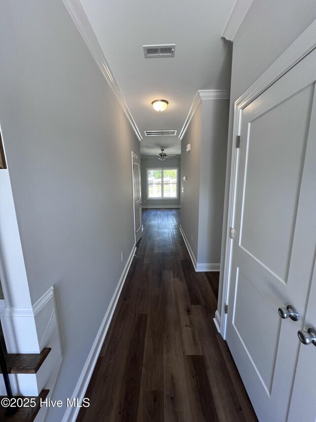 703 Henry Ln, Tarboro, NC 27886 - hallway featuring baseboards, crown molding, visible vents, and dark wood-style floors