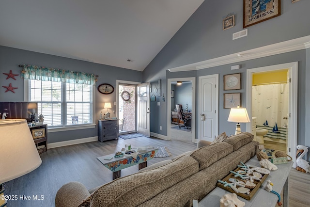 living room with hardwood / wood-style floors and high vaulted ceiling