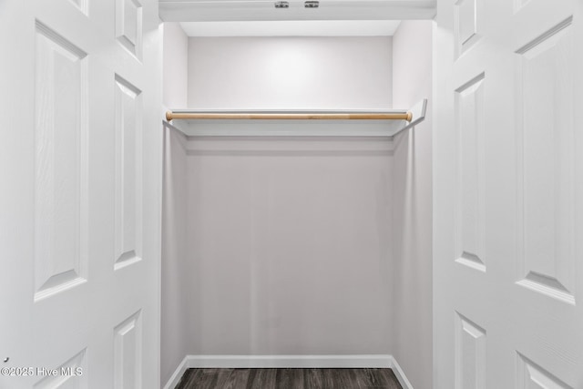 spacious closet with dark hardwood / wood-style flooring