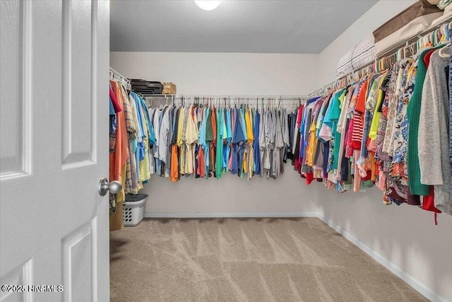 walk in closet featuring light carpet