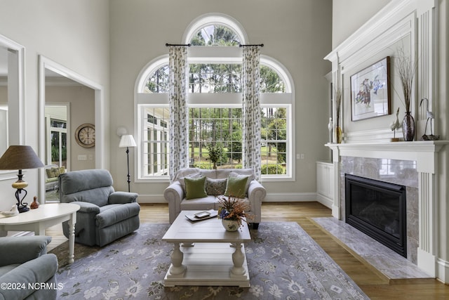 living room with a premium fireplace, a healthy amount of sunlight, and light wood-type flooring