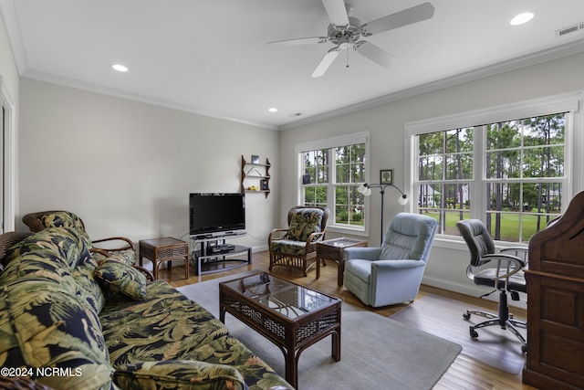 living room featuring crown molding, ceiling fan, and light wood-type flooring