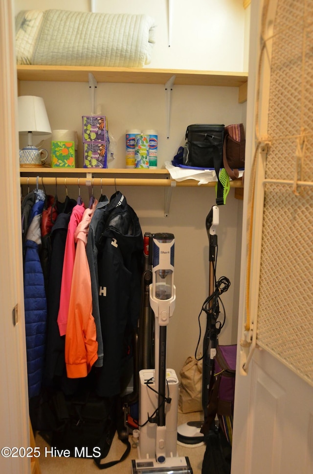 view of closet