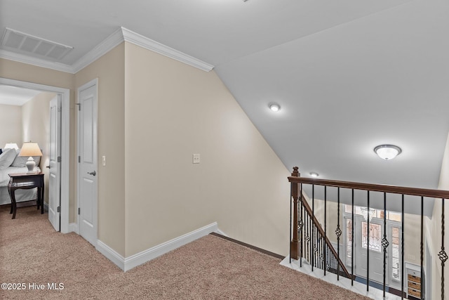 hall featuring crown molding and carpet floors