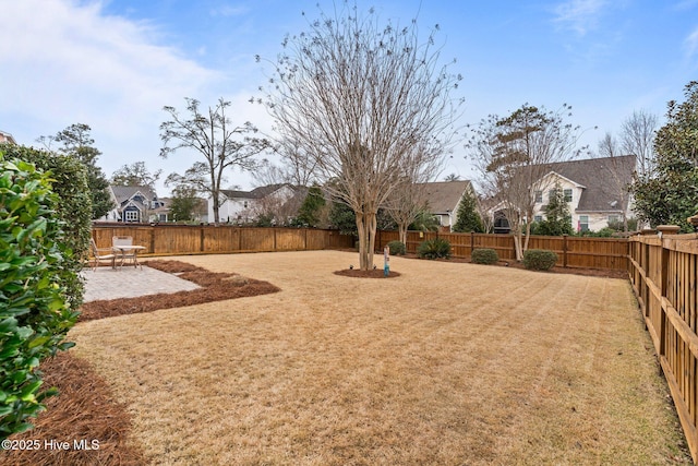 view of yard with a patio