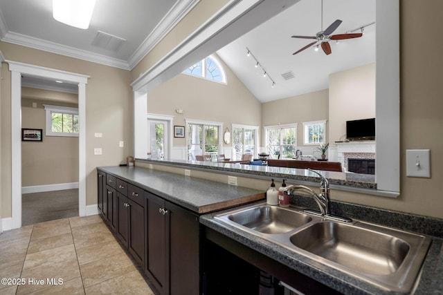 kitchen featuring sink, crown molding, dark brown cabinets, high vaulted ceiling, and track lighting