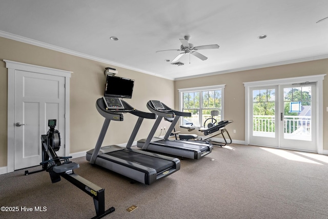 workout room with crown molding, ceiling fan, and carpet flooring