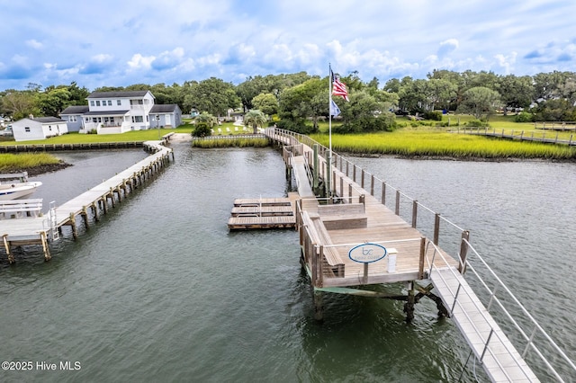 dock area with a water view