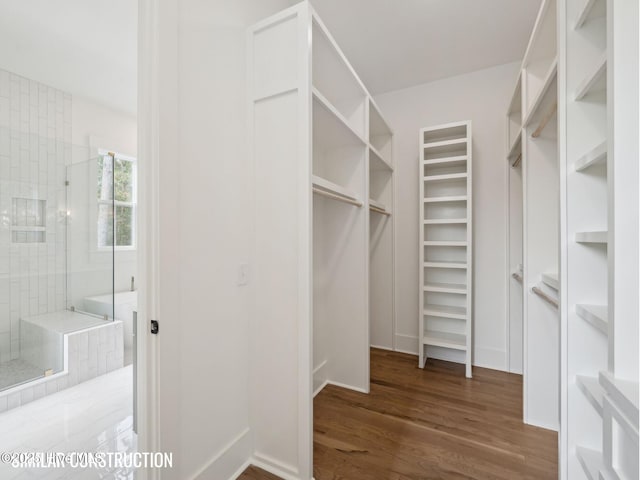 walk in closet with dark wood-type flooring